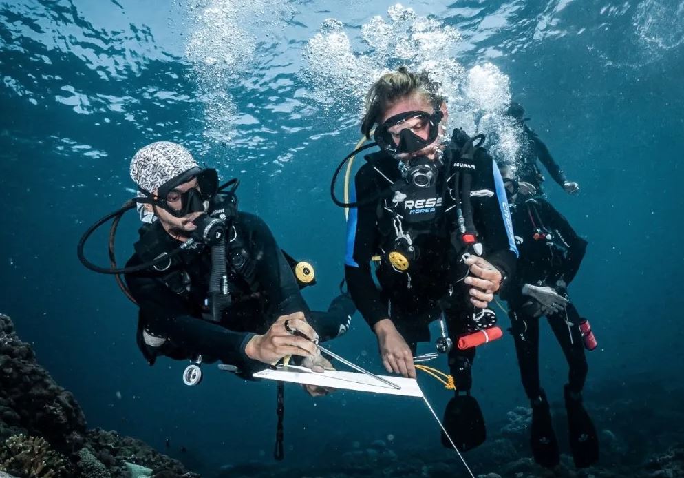 OceanicDepths About header image